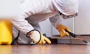 Best Residential Pest Control  in Auburndale, FL